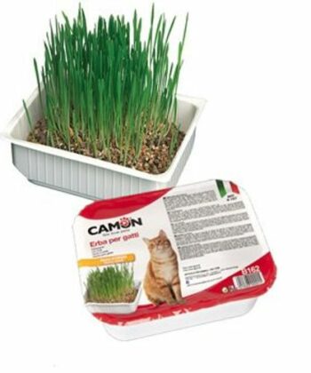 HERBE A CHAT AUX GRAINES D ORGE CAMON 130GR